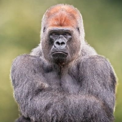 kabzswintz's profile picture. never let anything or one kill the fun side of YOU