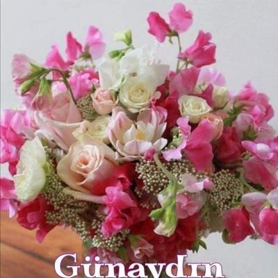 nazd2690's profile picture. 