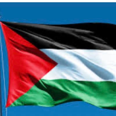 afrahahmed11's profile picture. 