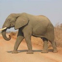 Paula Stevens - @PaulaStevens58 - Twitter