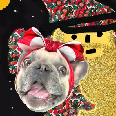 NizaTheFrenchie Profile Picture