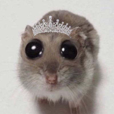 mouselorswift's profile picture. official page of swift mouse 🤍