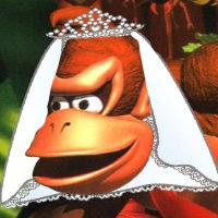 דונקי קורט (@amba_ganuv) 's Twitter Profile Photo