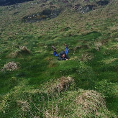 sylvieduu's profile picture. Rome / London / film exhibition worker