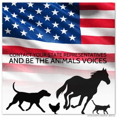 Your Actions & Voices are needed to bring JUSTICE for the animals in need. Live Podcast every Thurs @ 7:00 pm est 
https://t.co/gHByxcaEse