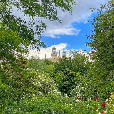 ZuZuShafi's profile picture. A swirling mass of contradictions. That 'one in a million' anomaly that upsets statistics & stereotypes. Lost but Looking.