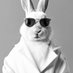 Bugs Bunny (@bunny_409) Twitter profile photo