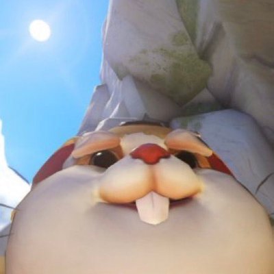 ComptePoubBBS Profile Picture