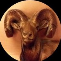 Donald (@donsrockshots) 's Twitter Profile