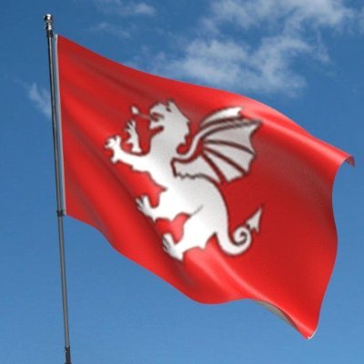 SteveMa23306731's profile picture. English Patriot