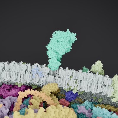 Building @CellWalkApp – immersive biology education. Graphics programmer. PhD. https://t.co/vyilh8oMfv