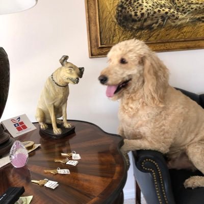 DebbiGr66634474's profile picture. 