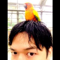 金森 恭平 (@kanamori_kyohei) 's Twitter Profile
