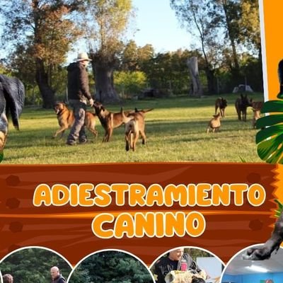 adiestramiento Canino 
hostelería canina 
cursos y capacitaciones canina