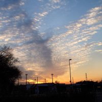 マサ (@s2qn8kq7hpbr3nf) 's Twitter Profile