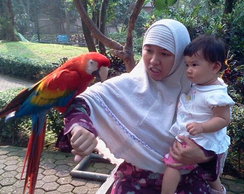 aska_by's profile picture. siswi ilmu sabar