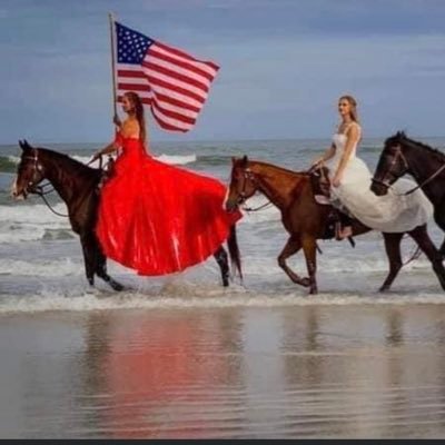 hurricaneblais's profile picture. retired general contractor and interior designer.. believer in America, and the truth I’m a no nonsense patriot 🇺🇸….