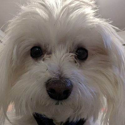 Dat_Thro's profile picture. 