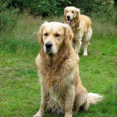 PH_ota972's profile picture. プラザホームズ株式会社