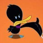 Minimite18's profile picture. Known to enjoy music | Quacks occasionally like no one will notice | 18+