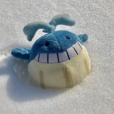 みこく🐳さんのプロフィール画像