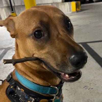 andrew_underdal's profile picture. 