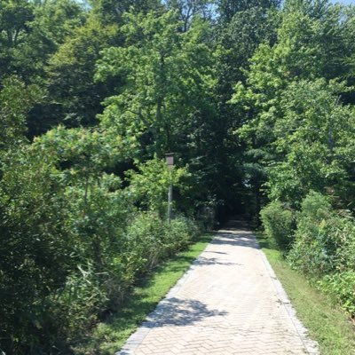 potanpe's profile picture. Never miss an opportunity to communicate your message…advertising, marketing, public relations and design services firm with an award winning staff.