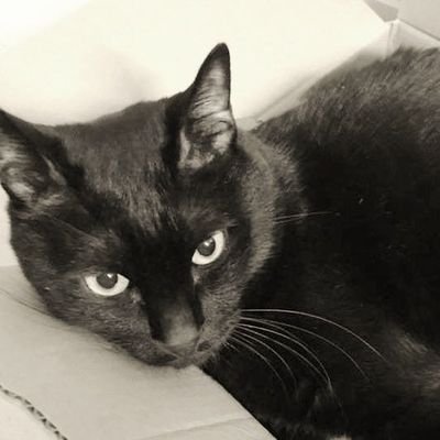 Karmaisaqueen_'s profile picture. I can be a queen, I can also be a bitch, but i can beat the charges too