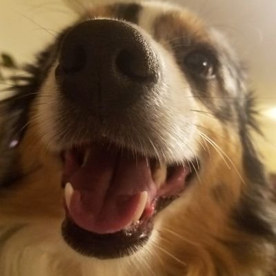 val3ntin307's profile picture. https://t.co/69PWHgwHLN
just a part-time gamer trying to live his best life... kinda?