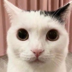 Tempwork195317's profile picture. 