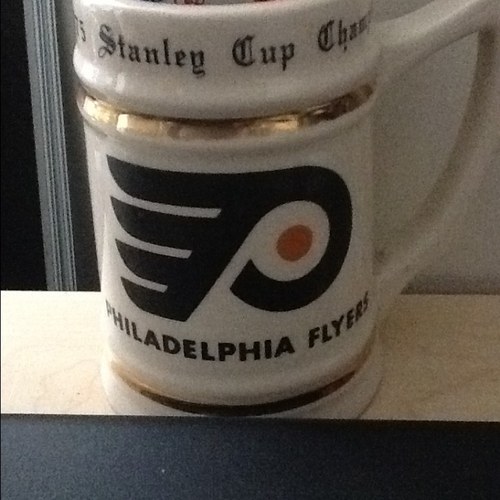 Fly Flyers Fly