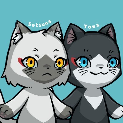 トワとセツナはゲームが大好きな双子猫🐱特技は変身。今日はどんな姿で遊んでいるのかな👀❓

※2024年2月にPANPAKから転生しました