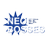 @NeoBosses