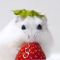 まいら (@mir__627) 's Twitter Profile