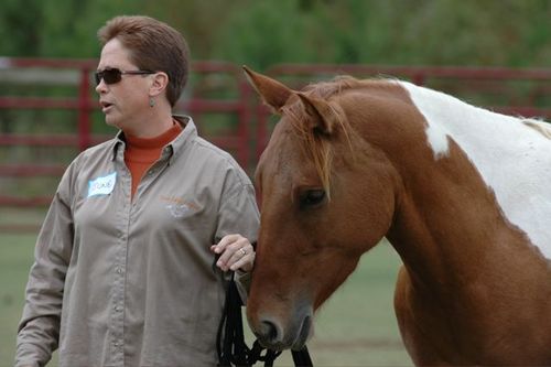 Co-founder and CEO, TeachingHorse, LLC.  Shares life Beth,  7 horses, 7 cats, and 3 dogs.