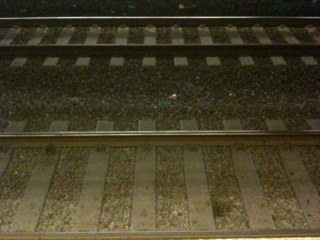 We ride the rails daily and want to share our experiences with you.