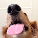 calvin sullivan - @calvinisthebest - Twitter