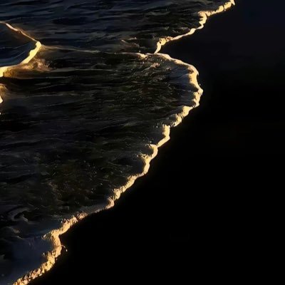 TtFopen's profile picture. 