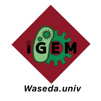 早稲田大学 理工学術院公認サークル 【iGEM-Waseda】 合成生物学🧬の世界大会《iGEM》に出場する早稲田大学代表チームです。 #春から早稲田 #春から早稲田理工