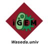 Wasedaigem's profile picture. 合成生物学の世界大会 #iGEM に出場し、世界一を目指します！🔥| 早大生を中心とした早稲田大学公認サークル❤️‍🔥 🇫🇷 | an iGEM team located in Shinjuku, Tokyo, Japan. |ホームページ: https://t.co/cmIwqME58v