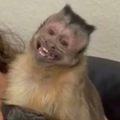 caro101213's profile picture. 