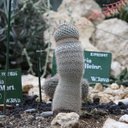 Gareth Atkinson - @garethdatkinson - Twitter