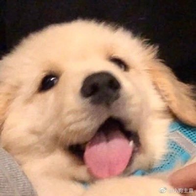 S4VEQ's profile picture. 