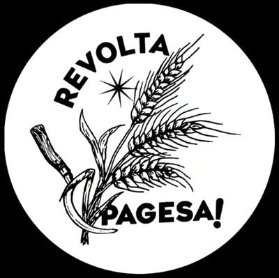 xinorri1's profile picture. amant de la història, la llengua i la fotografia