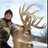 bowkill1978's profile image