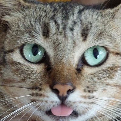 randomques49851's profile picture. 