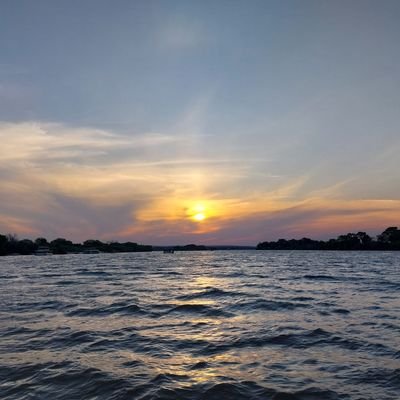 UpenyuSaunyama's profile picture. 