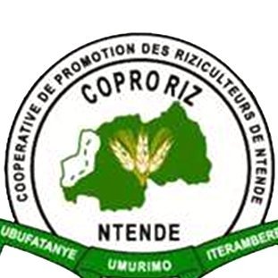 CoproriNtende's profile picture. 