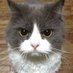 FromSomewhereFarAway (@lkiyatkina) Twitter profile photo FromSomewhereFarAway (@lkiyatkina) Twitter profile photo