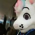 FurRaffi (@furraffi) Twitter profile photo FurRaffi (@furraffi) Twitter profile photo